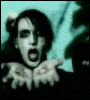 pp.gif